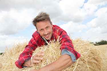 Similar image 8191421