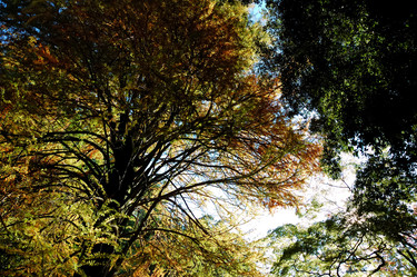 Similar image 8191435