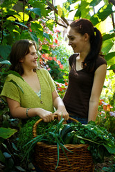 Similar image 8191445