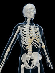 Similar image 8191462