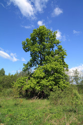 Similar image 8191477