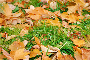 Similar image 8191479