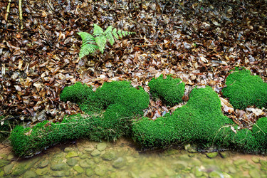 Similar image 8191497