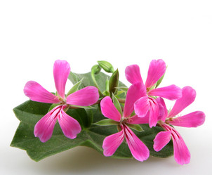 Similar image 8191501