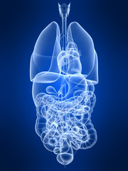 Similar image 8191507