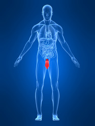 Similar image 8191522