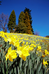 Similar image 8191531