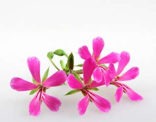 Similar image 8191541