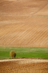 Similar image 8191547