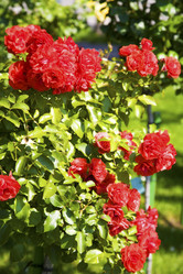 Similar image 8191605