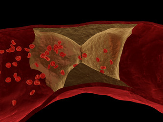 Similar image 8191656