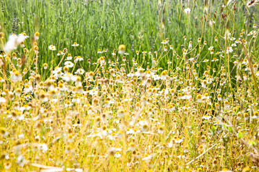 Similar image 8191666