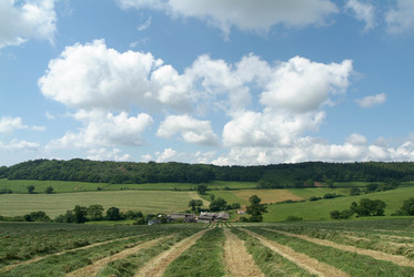 Similar image 8191668