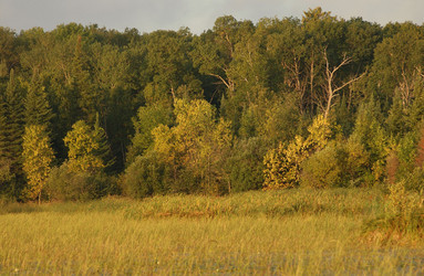 Similar image 8191669