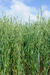 Similar image 8191671