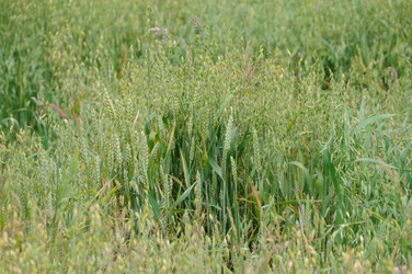 Similar image 8191673