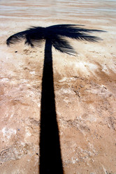 Similar image 8191704