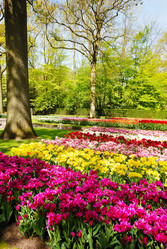 Similar image 8191769