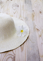 Similar image 8191847