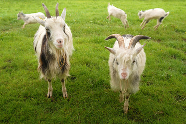 Similar image 8191869