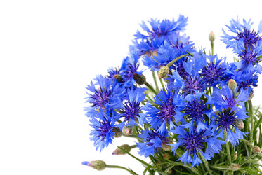 Similar image 8191940