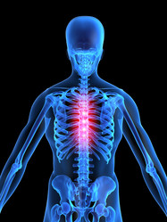 Similar image 8191950