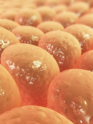 Similar image 8191977