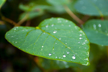 Similar image 8192013