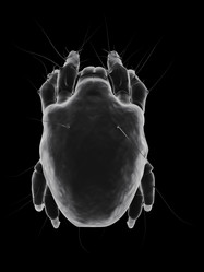 Similar image 8192037