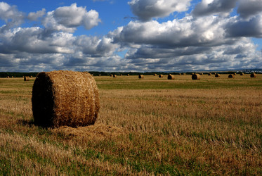 Similar image 8192070