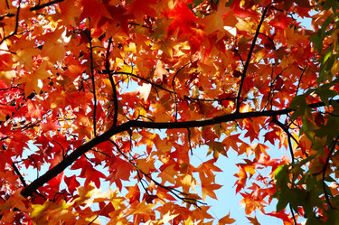 Similar image 8192118