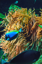 Similar image 8192132