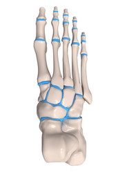 Similar image 8192141