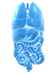 Similar image 8192158