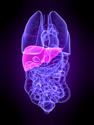 Similar image 8192247