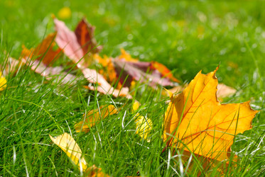 Similar image 8192249