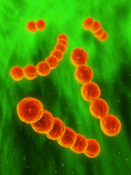 Similar image 8192279