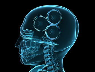 Similar image 8192317