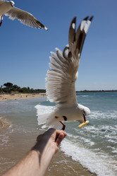 Similar image 8192326