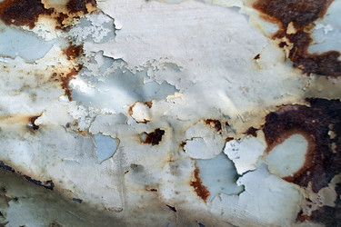 Similar image 8192354