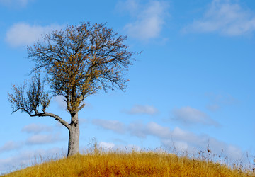 Similar image 8192471