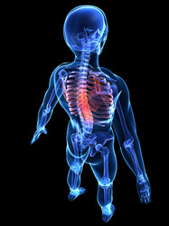 Similar image 8192488