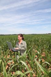 Similar image 8192494