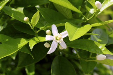 Similar image 8192498