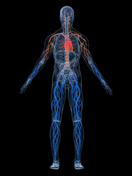 Similar image 8192501