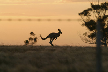 Similar image 8192555