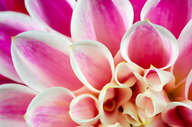 Similar image 8192584