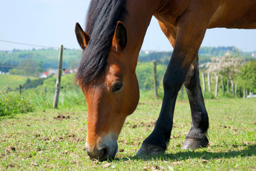 Similar image 8192673