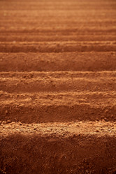 Similar image 8192682