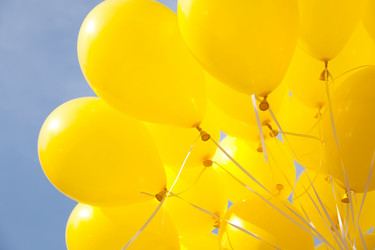 Similar image 8192698